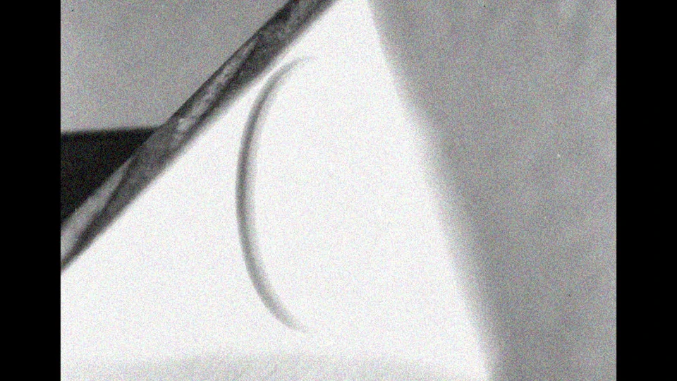 LOS HIJOS DE LA LUZ_STILL 2